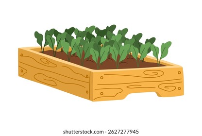 Wooden raised bed filled with young green vegetable plants, representing gardening, eco living or farming. Cartoon flat vector natural agricultural production, harvest, healthy eating, seasonal foods