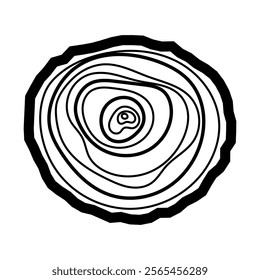 Wooden Ring. Round cut wood. Vector linear texture of wood. Circles on white background