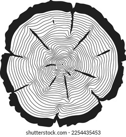 La textura de anillos de madera. Líneas negras cortadas de la sierra de registro