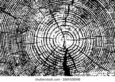 Wooden rings, vector nature background