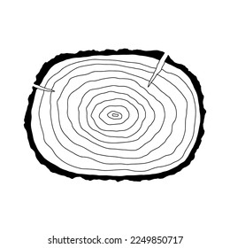 Wooden round panel with texture. Vector monochrome illustration isolated on white.