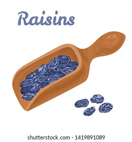 Wooden scoop with dark raisins isolated on white background. Vector illustration of healthy sweets in cartoon flat style.