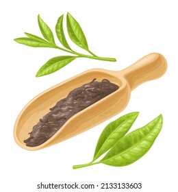Wooden scoop with with dry tea leaves. Vector color realistic illustration for label, poster, web. Isolated on white background.