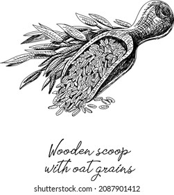 Wooden scoop. Wooden scoop with oat grains. Sketchy hand-drawn vector illustration.