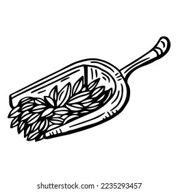 Wooden scoop. Wooden scoop with oat grains. Sketchy hand-drawn vector illustration.