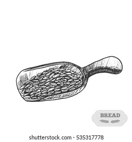 Wooden scoop wheat grains.Handwritten sketch. Vector illustration. Black ear, on isolated background. Gluten food ingredient engraving retro style