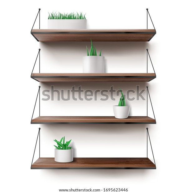 Wooden shelves hanging on ropes with plants\
in ceramics pots. Front racks on white wall background. Interior\
design element for room decoration, home ledges furniture,\
Realistic 3d vector\
illustration
