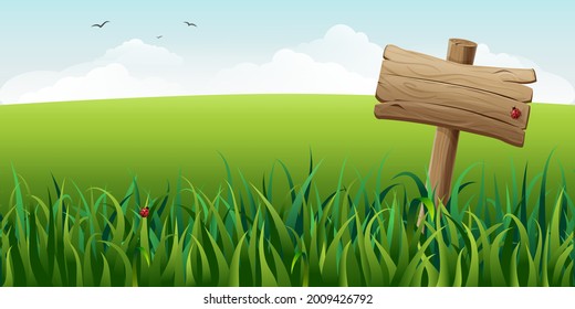 wooden sign in grass on field vector illustration. horizontal green summer landscape with signboard, clouds and flying birds. rural idyllic scene. signpost on spring meadow background. nature banner.