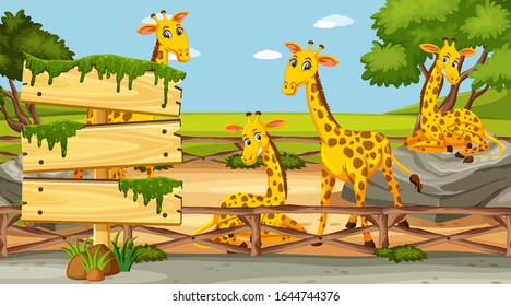 Wooden sign template with four giraffes in the park illustration