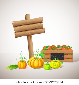 wooden signboard with ripe vegetables, autumn harvest isolated on white background. fall crop like pumpkins, cucumber, tomatoes in crate. organic food, grocery or farmers market products illustration.