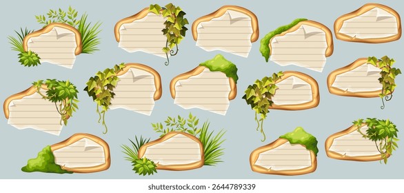 Placas de madeira com papel velho, hera de caules, liana, uvas, vinha, musgo do pântano, líquen da floresta. Defina elementos de madeira isolados com branco, com a página da escola na linha, papel gráfico irregular. 