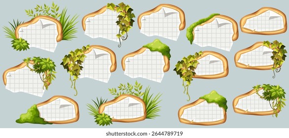 Wooden signboards with old paper, stems ivy, liana, grapes, vine, swamp moss, forest lichen. Set isolated wooden elements with blank, with ragged square graph paper, school math sheet. 