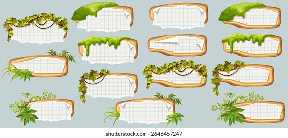 Placas de madeira com papel velho, hera de caules, liana, uvas, vinha, musgo do pântano, líquen da floresta. Definir elementos de madeira isolados com branco, com papel gráfico quadrado ragged, folha de matemática da escola. 