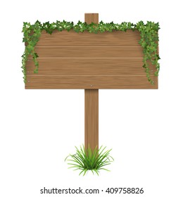 Wooden signpost covered of ivy sticks out of the grass. The template with blank space for text.