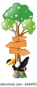 Wooden signs with toucan bird illustration