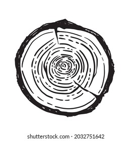 Wooden slice circle plywood cut with electric saw in engraved sketch style isolated on white background in black and white monochrome.