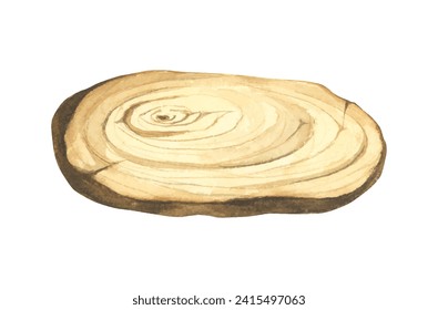 Wooden slice illustration. Wooden signboard. Tree trunk cross section. Hand painted wooden texture board. Tree rings. Rustic natural eco design for wedding, cards, invitations. Watercolor style.