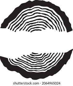 Wooden Split Log Cut Clipart for Logo Design, Vector Cut of Tree Log Halves of Concentric Rings, Tree Log Cut Monogram, Wood log round cut