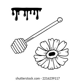Wooden spoon, flower and honey drops. Hand drawn line doodle icons. Outline sketch isolated on white