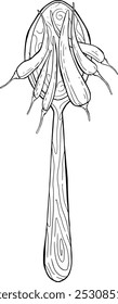 a wooden spoon with hot peppers. doodle peppers