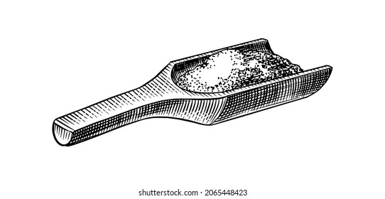 Wooden spoon of sea salt. Piles of seeds. Spice in natural packaging. Flavoring or saline. Vintage background banner. Engraved hand drawn old sketch. 