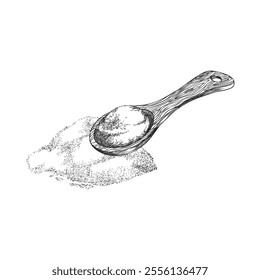 Wooden spoon with sugar or salt. Seasoning, spices. Stevia. Sweetener. Sugar substitute. Sketch style. Hand drawn. Sweet, organic, healthy. Vector illustration isolated on white background.