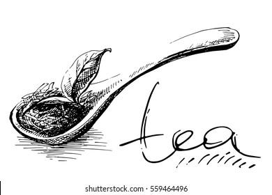 wooden spoon with tea leaves in graphic style, hand-drawn vector illustration.