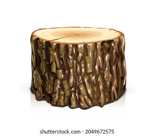 Wooden stump. Cut slice tree, isolated on white background. Eps10 vector illustration.