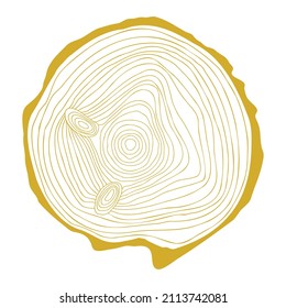 Wooden stump with hand drawn linear pattern of tree rings - vector illustration isolated on white. Flat color design.