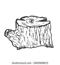 Wooden stump. Remaining tree with roots. Forest or garden plant. Hand drawn outline sketch. Isolated on white background. Vector.