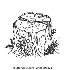 Wooden stump. Remaining tree with roots. Forest or garden plant. Hand drawn outline sketch. Isolated on white background. Vector.
