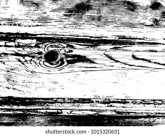 Wooden texture. Abstract background.