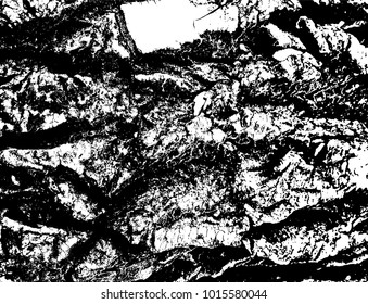 Wooden texture. Abstract background.