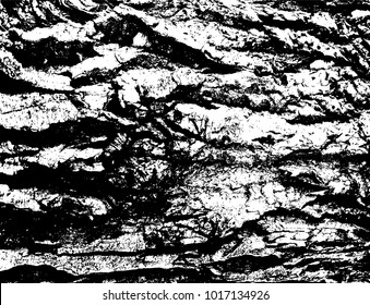 Wooden texture. Abstract background.