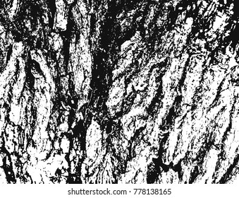 Wooden texture. Abstract background.