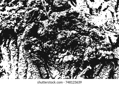 Wooden Texture. Grunge Background.