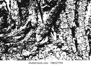 Wooden Texture. Grunge Background.