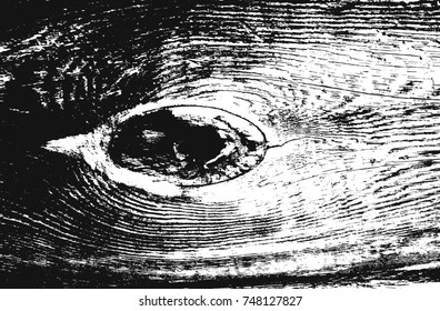 Wooden Texture. Grunge Background.