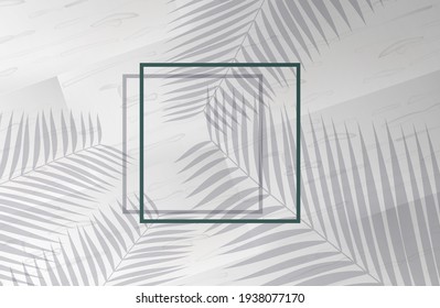 wooden texture with shadow of leaves. white color tree. vector