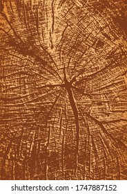 Wooden texture of a tree trunk. Vector Illustration.