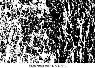 Wooden texture. Tree wood material.Grunge texture. Grunge black and white vector overlay. Grungy grainy surface.