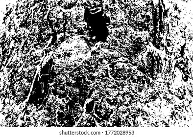 Wooden texture. Tree wood material.Grunge texture. Grunge black and white vector overlay. Grungy grainy surface.