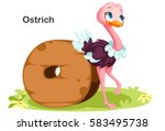 Wooden textured bold font alphabet O, O for Ostrich