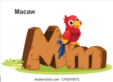 Wooden textured bold font alphabet M, M for Macaw