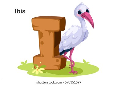 Wooden textured bold font alphabet I, I for Ibis bird animal