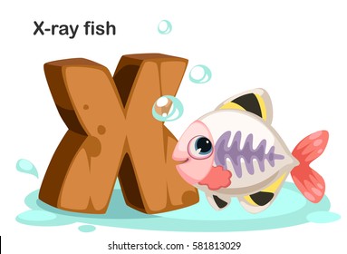 Wooden textured bold font alphabet X, X for X-ray fish