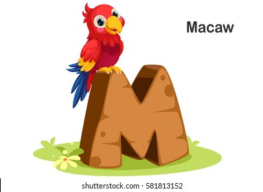 Wooden textured bold font alphabet M, M for Macaw