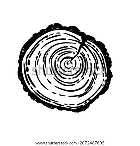 Wooden vector hand drawn cartoon doodle cut slice. Forest camping element.