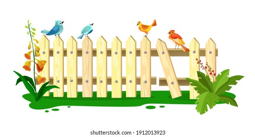 Wooden vector spring fence illustration, picket with sitting birds, grass, flowers, green leaves, isolated on white. Old cartoon broken farm backyard barrier, plants. Wooden summer rustic plank fence