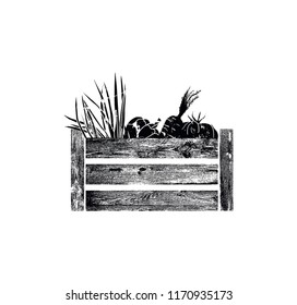  Wooden Vegetable Box. Grunge silhouette of Crate. Can be yused like icon, logo or other design element in your works. Vector illustration.